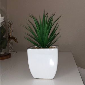 faux plant